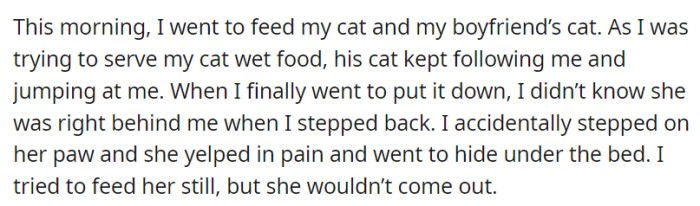 OP went to feed her and her boyfriend's cat— which she accidentally stepped on, causing the feline to yelp in pain.