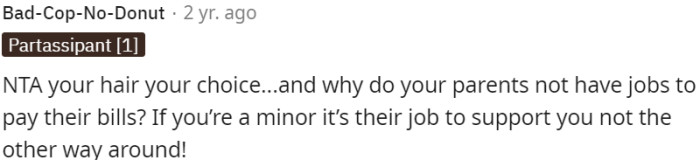 The responsibility of parents is to provide financial support for their minor children.