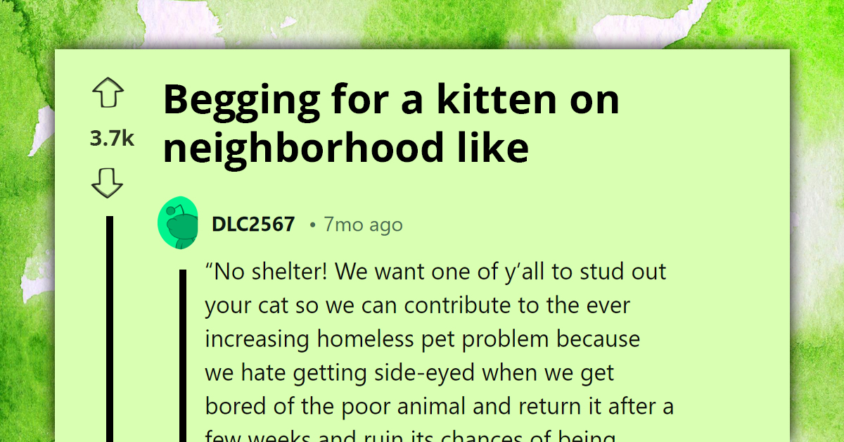 Choosing Beggar Gets Blasted Online For Refusing To Go To Shelter To Adopt Kitten Because They Want To Pick Directly From Litter