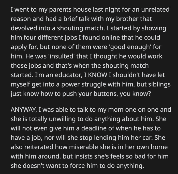 OP and Her Brother Got into a Shouting Match After She 