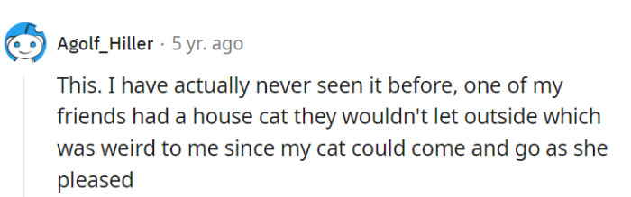 It's a world of contrasts—some cats are indoor royalty, while others are outdoor explorers. Each feline has their own kingdom, after all!