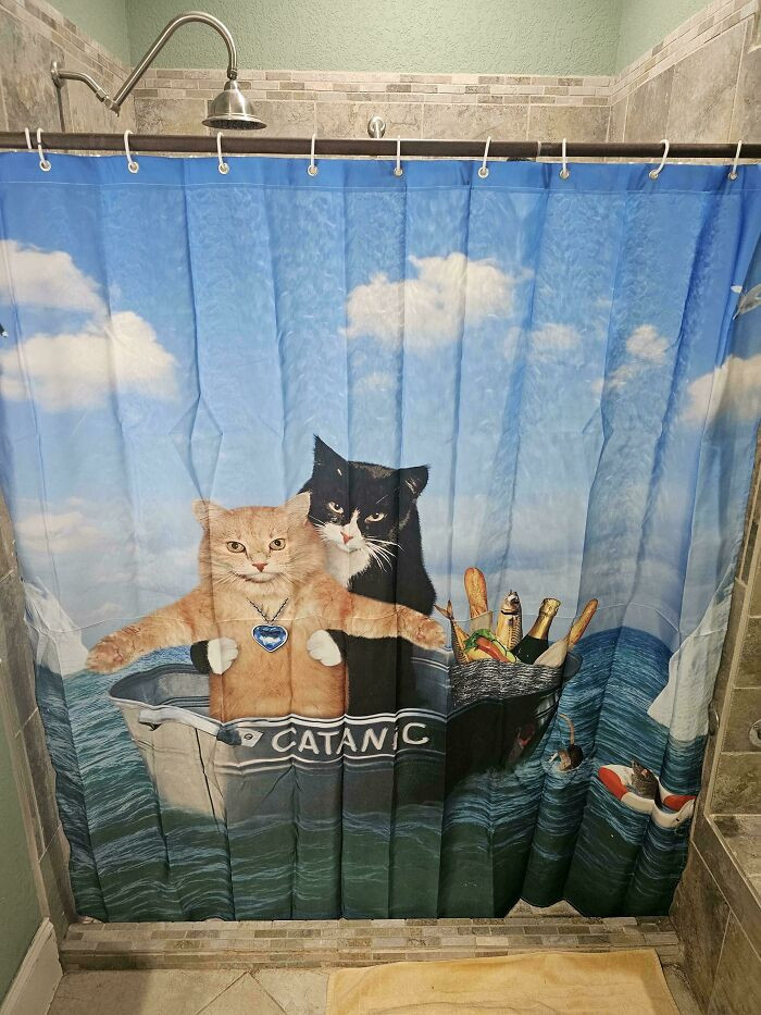 "Fun Shower Curtain I Got For My Skyrim-Loving Partner"