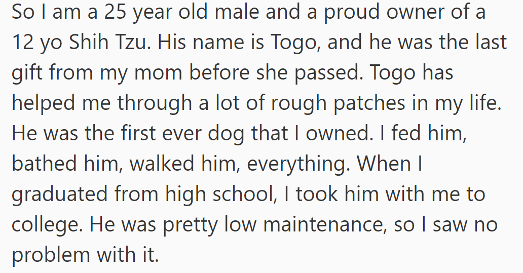 OP cherishes his 12-year-old Shih Tzu named Togo, a gift from his late mother.