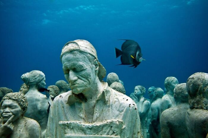 Silent Evolution, Musa, Mexico