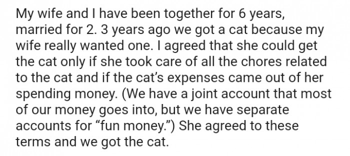 We got a cat because my wife wanted one