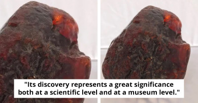 Rock Used As Doorstop For Years Discovered To Be Worth More Than $1 Million