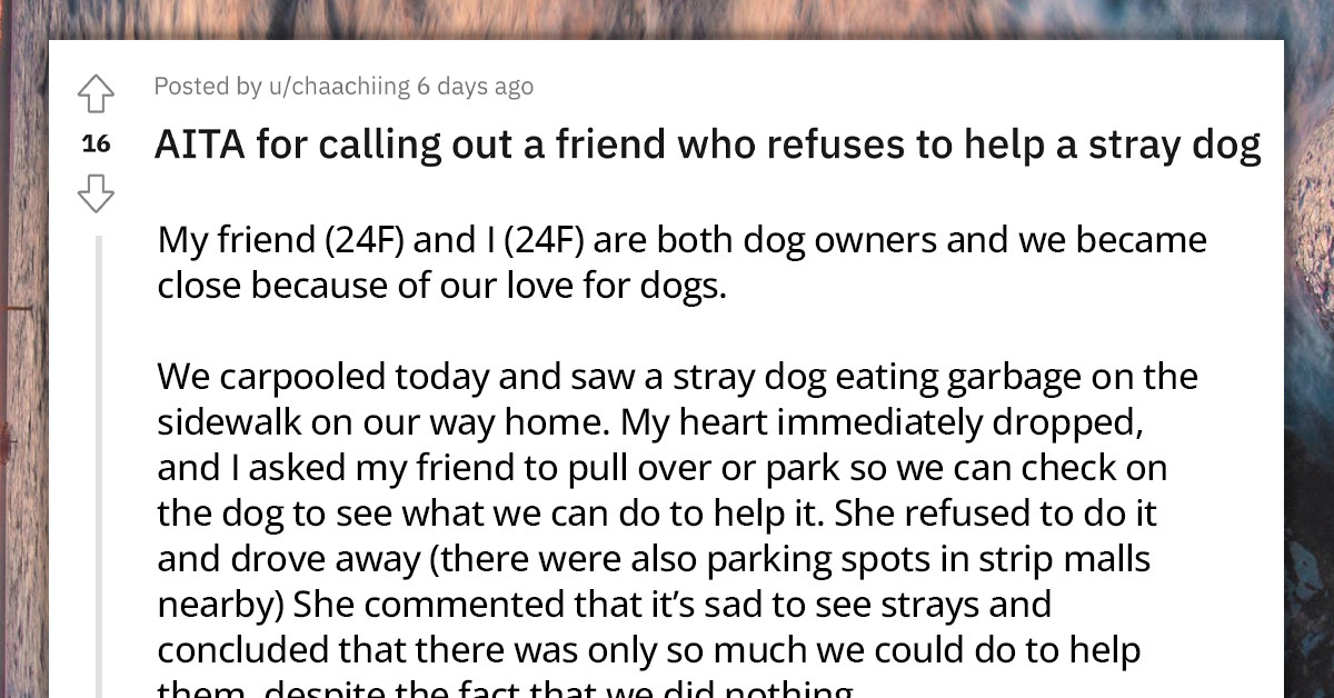 Redditor Calls Out Friend For Not Stopping Her Car And Rescuing A Dog Eating Trash On The Sidewalk