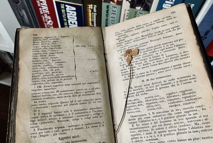 1. Homeowner finds this 165-year-old Latin book, which contained a dried flower