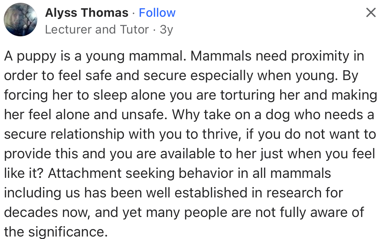 According to this user, dogs need to stay in close proximity to their humans to feel safe