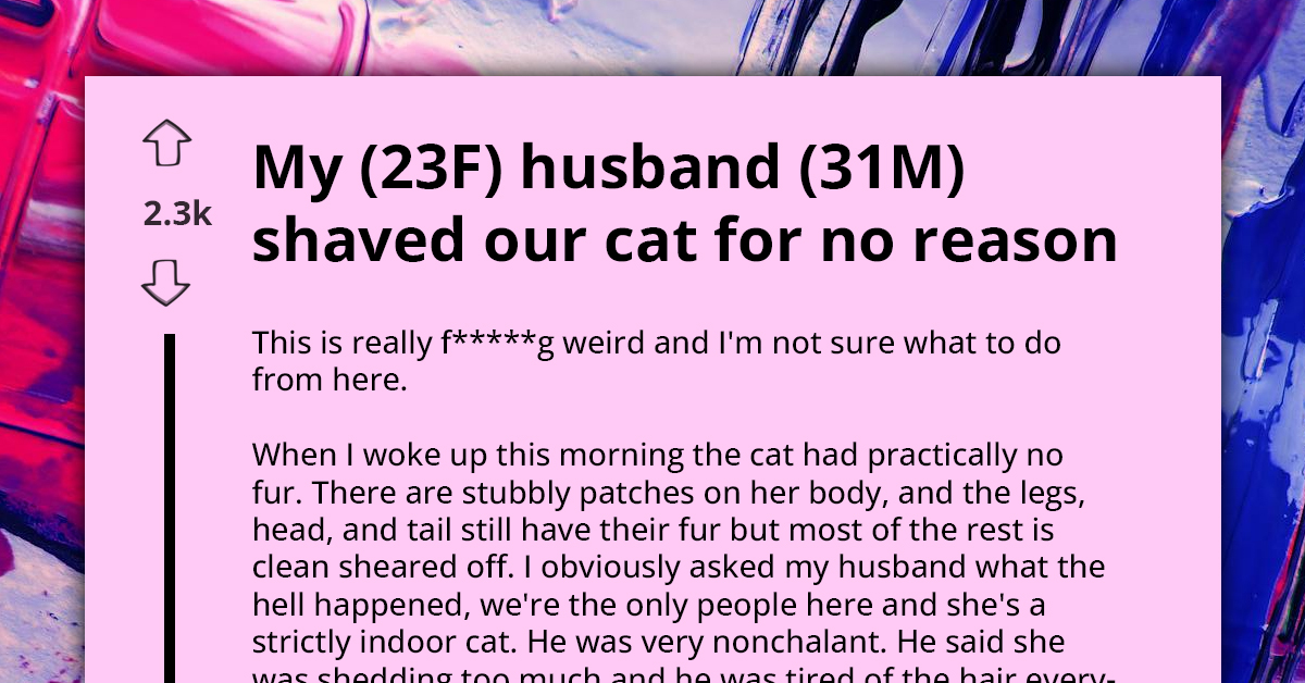 Husband Shaves Cat Without Wife's Permission, Citing Annoyance With Her Shedding