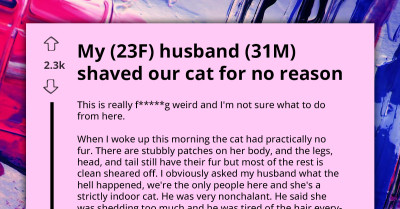 Husband Shaves Cat Without Wife's Permission, Citing Annoyance With Her Shedding