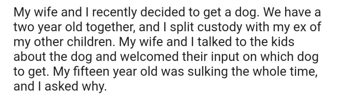 OP and their family decided to get a dog