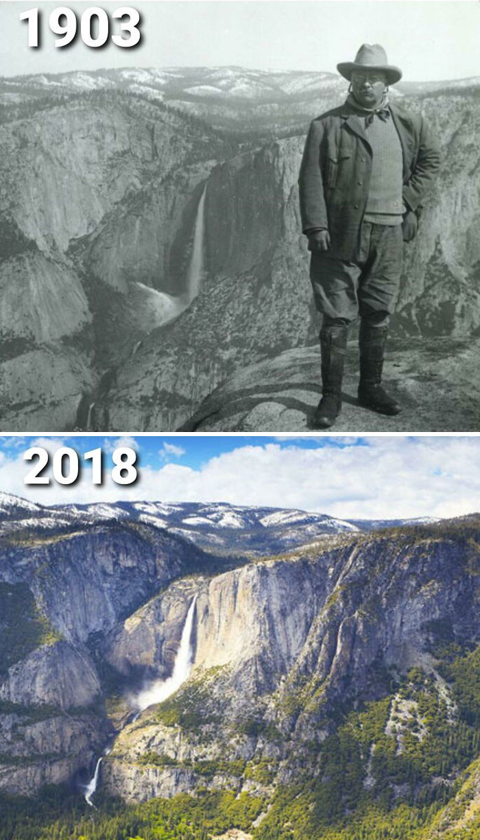"Theodore Roosevelt Would Be Proud"