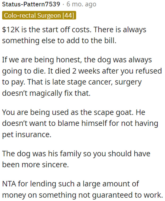 The dog's death was inevitable due to late-stage cancer, and OP is not to blame.