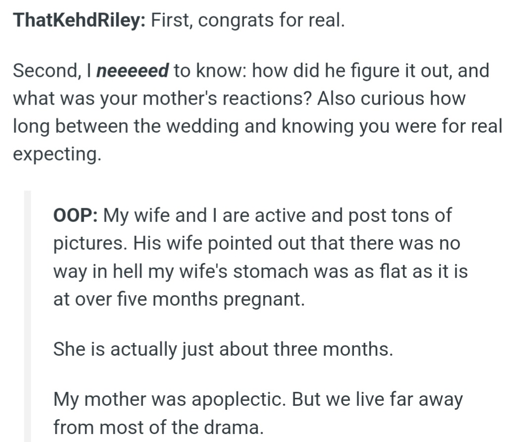 ThatKehdRiley Learned from OP That His Brother's Wife Discovered the Fake Pregnancy from Photos, Which Got His Mom Angry. But, Surprisingly, OP's Wife Became Pregnant Soon After.