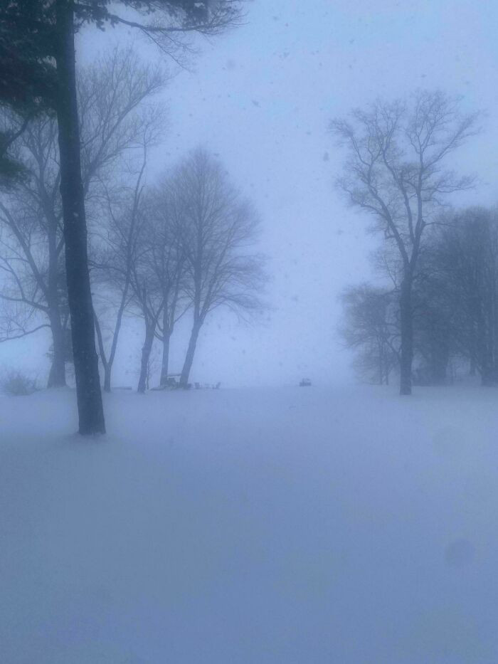 Snowstorm By The Lake In Rural Canada