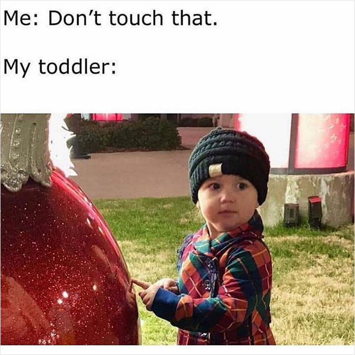 12. Yep, everything they aren't supposed to touch, they touch anyway.