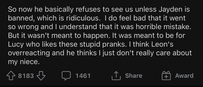 The brother's reaction made OP doubt defending Jayden's pranks, so she decided to consult with the Reddit community.