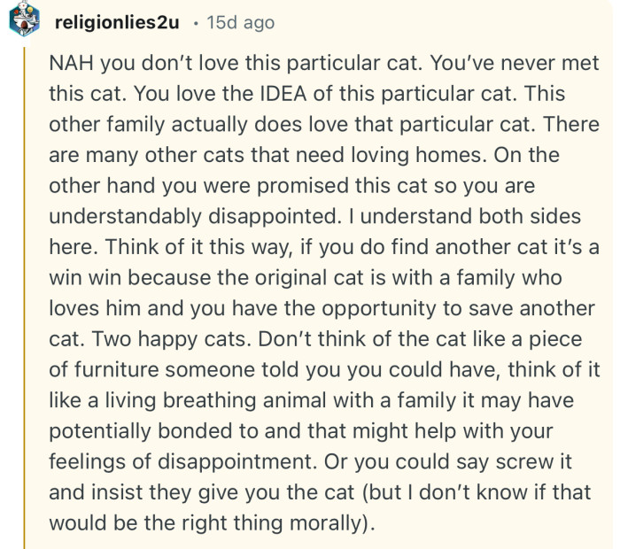 “If you do find another cat it’s a win win because the original cat is with a family who loves him and you have the opportunity to save another cat.”