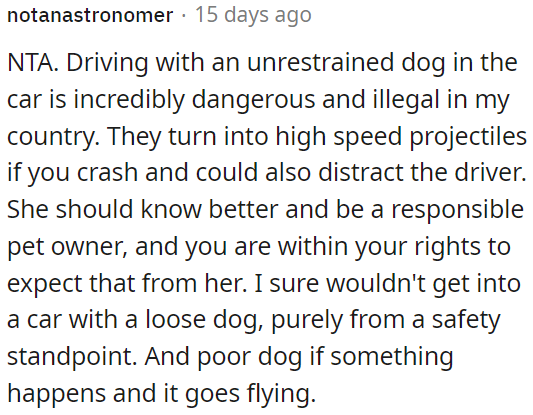 Being a responsible pet owner means ensuring the safety of your pet and others on the road.