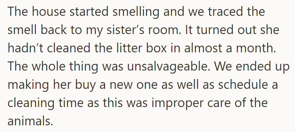 Sister neglected the litter box, causing a smell. She was made to buy a new one and schedule cleanings for cat care.