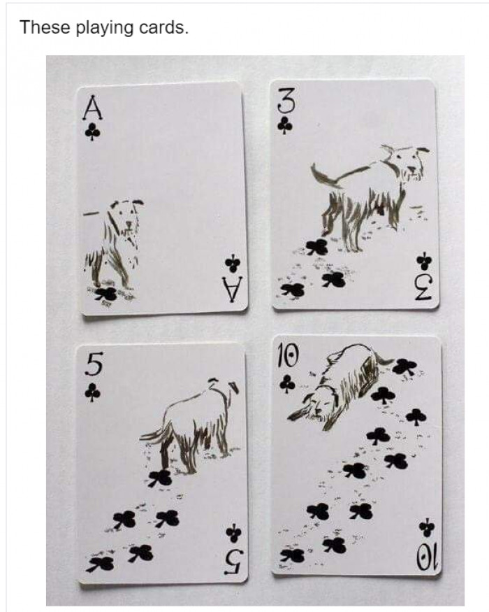 13. And the dog lover who designed this clever deck: