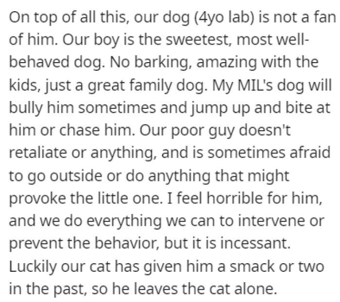 OP already had a dog before, and the two aren't getting along
