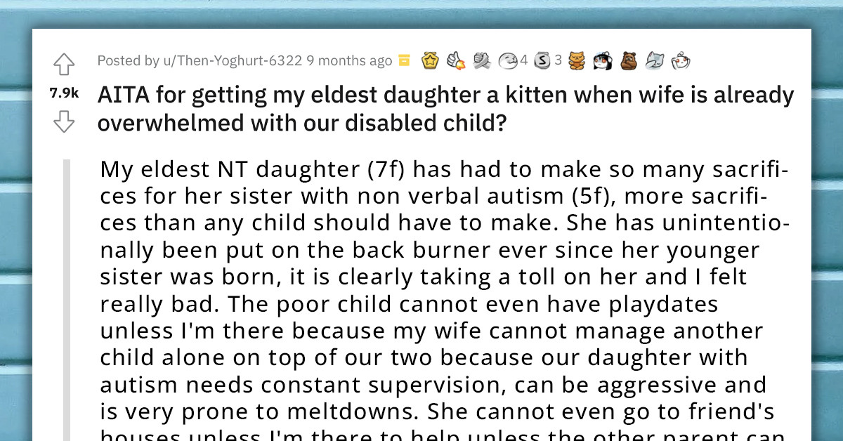 Redditor's Wife Angry At Him For Buying His Younger Daughter A Kitten To Help With The Sacrifices She Made For Her Autistic Sister