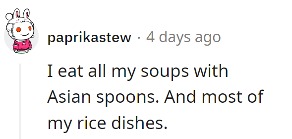 Embracing the elegance of Asian spoons—one spoonful of soup and rice at a time.