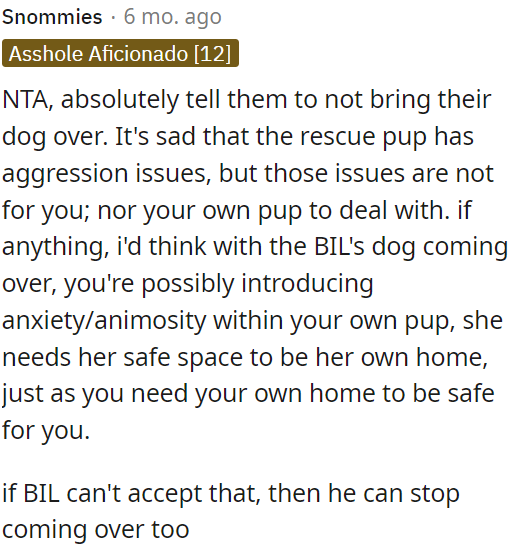 Having the brother-in-law's dog over could potentially cause anxiety or conflict for OP's own dog.
