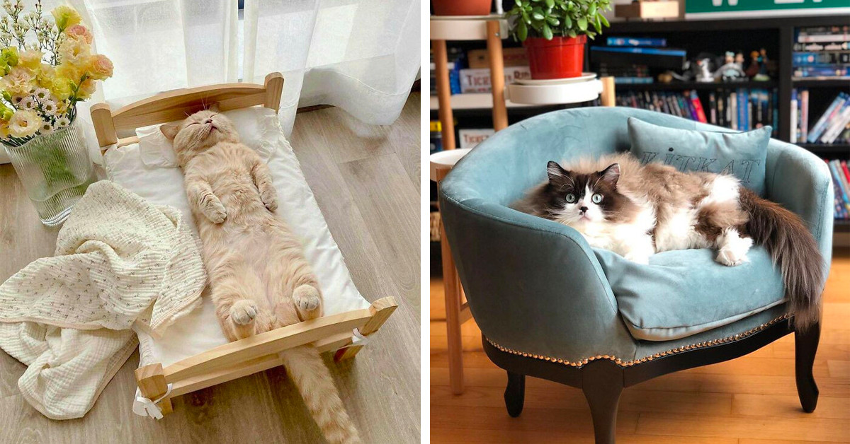 Online Community Shares 30 Miniature Beds, Sofas, And Other Furniture Pieces Created Specifically For Cats