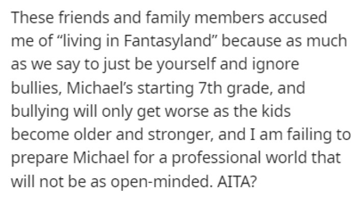 OP is being accused of not preparing Michael for a cruel world where he will be bullied
