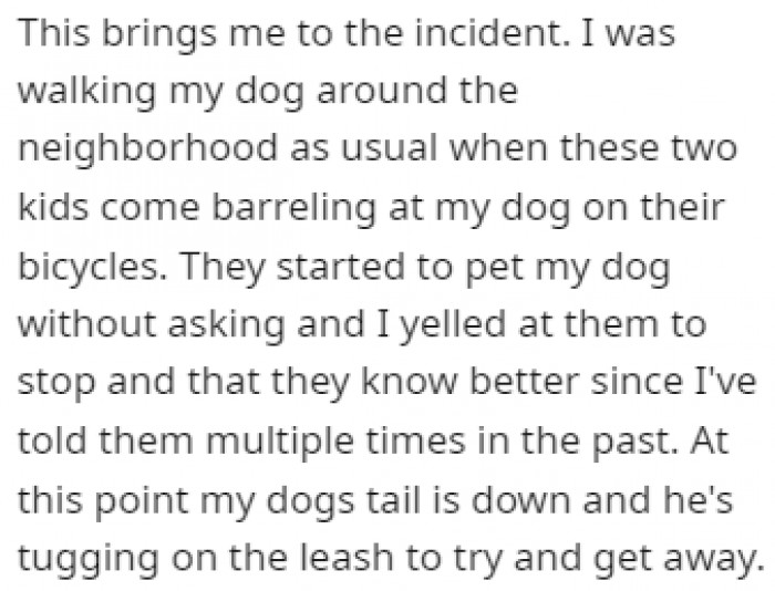 One day, OP yelled at these two kids after they started petting their dog without asking