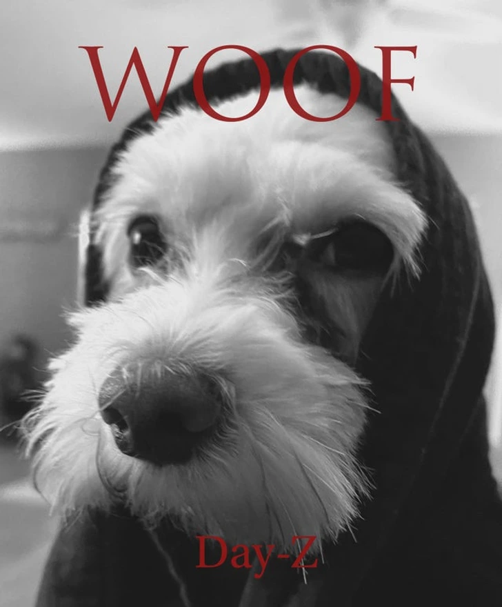 10. “I took a photo of my dog wrapped in a blanket and it looked like a hoodie.”