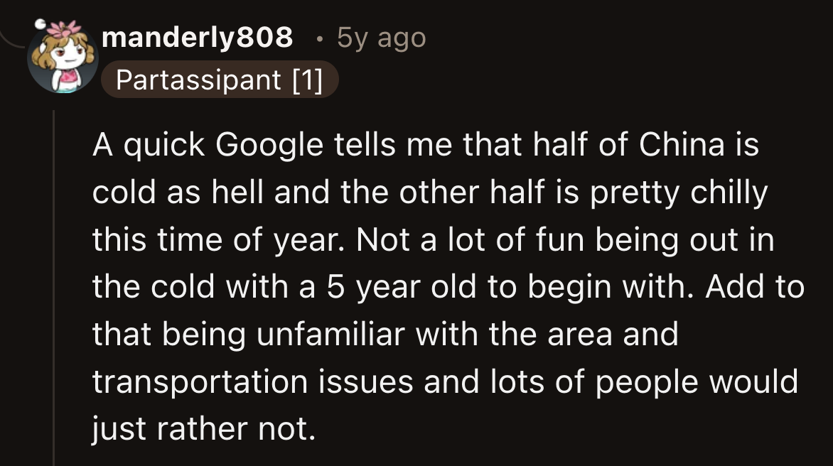 An insightful Redditor said that going around an unfamiliar place where you don't speak the language with a 5-year-old in tow wasn't as easy as some made it out to be.