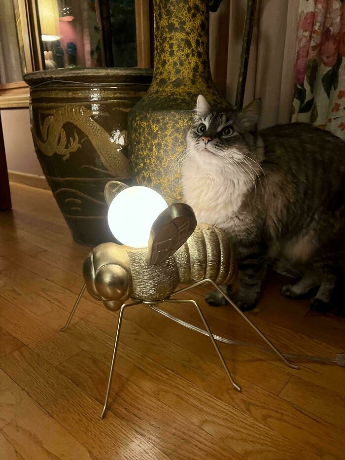 "I’ve Had A Really Good Run The Past Week At The Thrift Shops. Found This Large Gold Bee Lamp Tonight. Wonderfully Weird, It Could Not Be Left Behind"