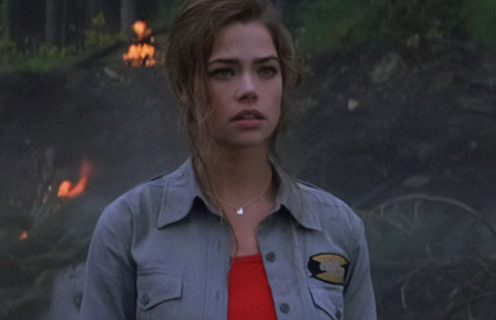 3. Denise Richards