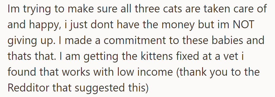 Despite financial constraints, they're committed to caring for all three cats and arranging affordable veterinary care.