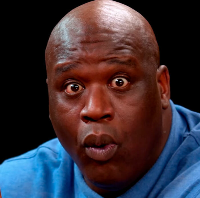 14. Shaquille O'Neal