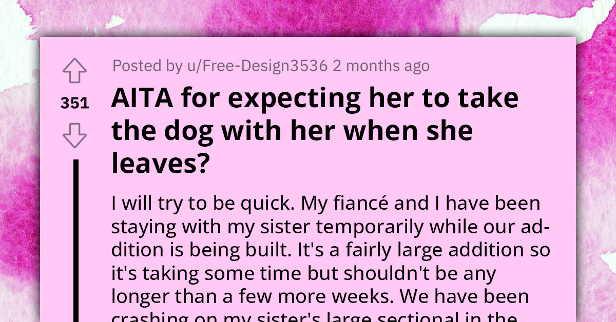 Couple Fights After Months Of Stress Caused By Their Home Renovation, Temporary Living Situation, Four Dogs, And An Unexpected Pregnancy