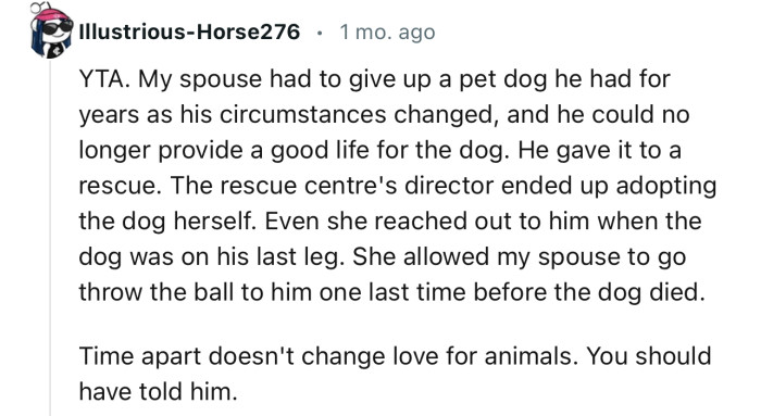 “Time apart doesn't change love for animals. You should have told him.”