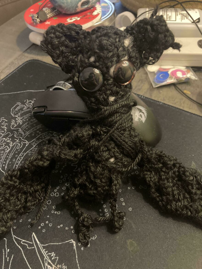 "My First Project…"