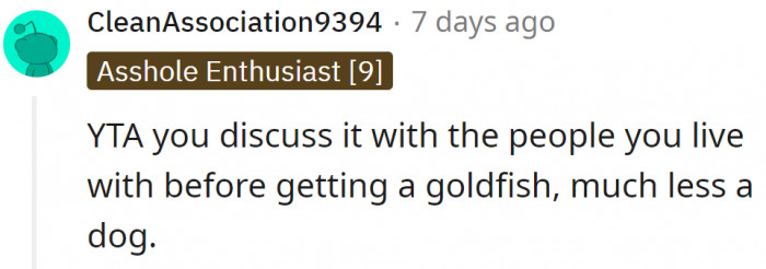 They should have talked before he got the dog