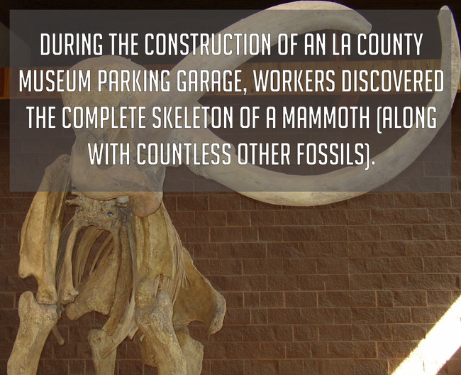 10. Now that is a cool thing to find... or probably not