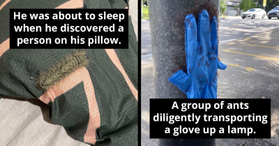 50 Astonishing Encounters With Mother Nature's Most Bizarre Creations – Captured In Photos