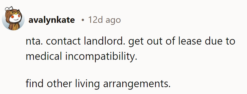 Apartment and allergies just won't cohabitate.