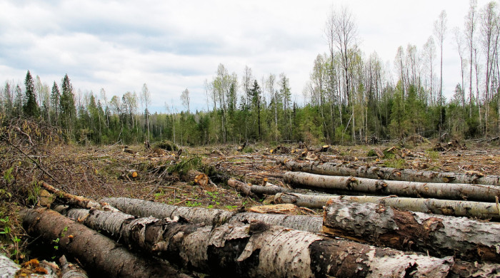 18. War changes men.