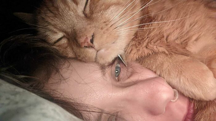 5. Rudely roused from their slumber at the ungodly hour of 5 AM by the inexplicable serenading of a purring feline