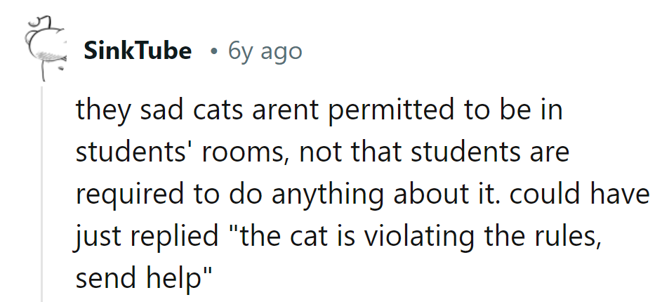 Cat's breaking the rules, send backup! Or maybe just some catnip.