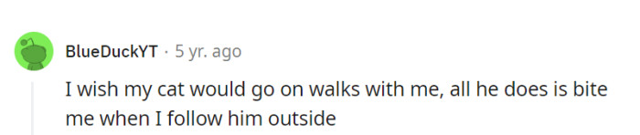 The cat's not a fan of walks, and he's not afraid to nip to make that clear. Maybe one day he'll take a stroll down 